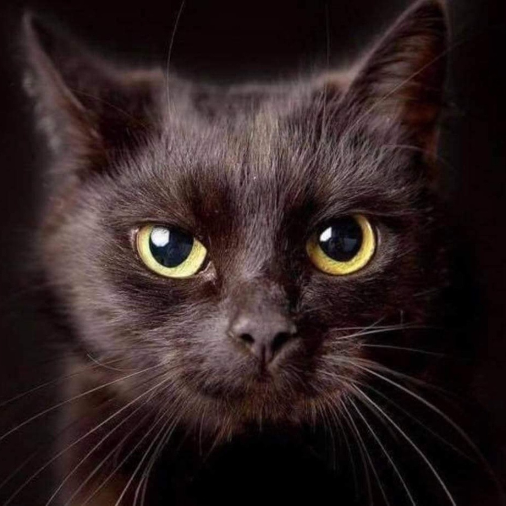 Meet your Posher, Cristhian